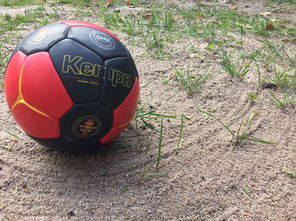 乐鱼体育官网注册-男子手球全国赛八强激战,全国男子手球锦标赛