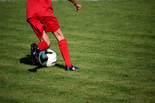 乐鱼体育app官方入口-篮球比赛策略智能辅助系统研发与应用,篮球智能训练